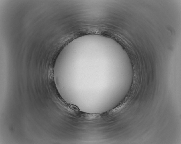 X0000112920096200908241041