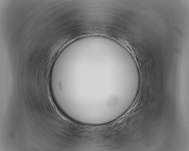 X0000112920097200908241040