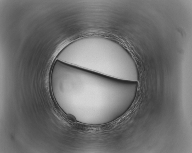 X0000112920099200908241040