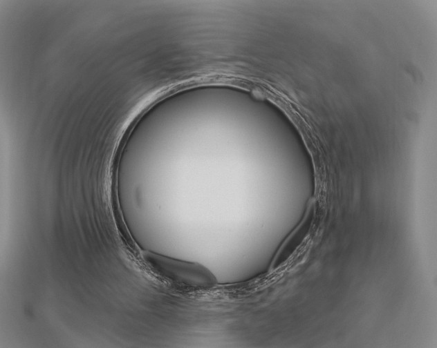 X0000112920100200908241040