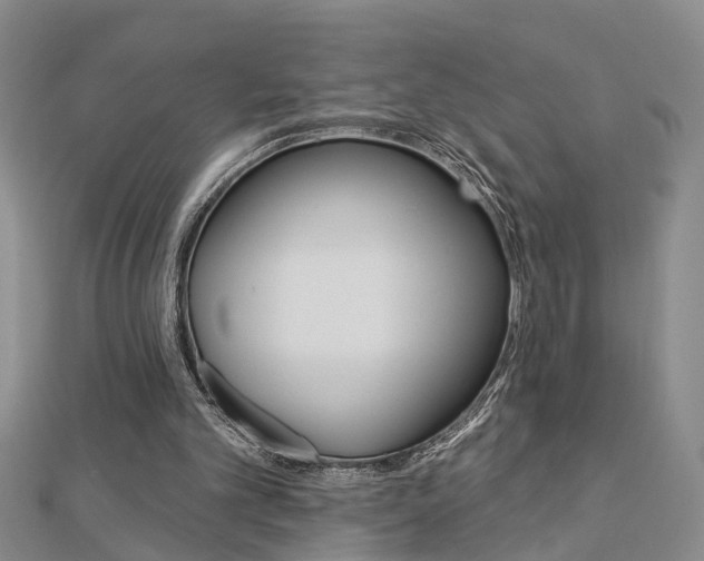 X0000112920101200908241040