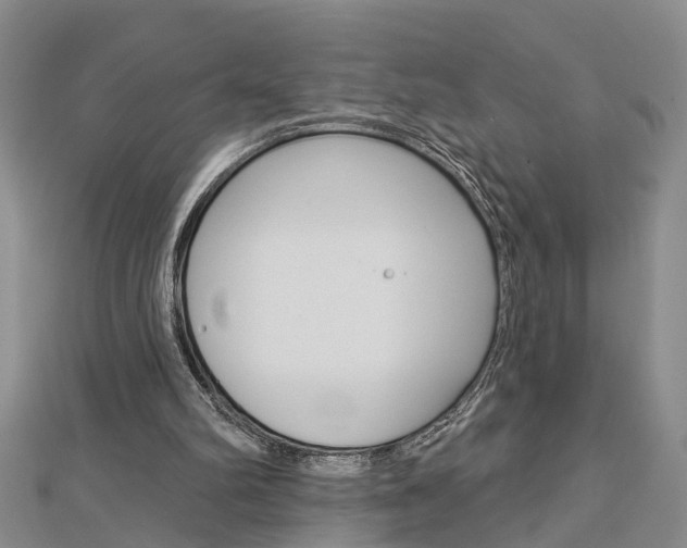 X0000112920102200908241040