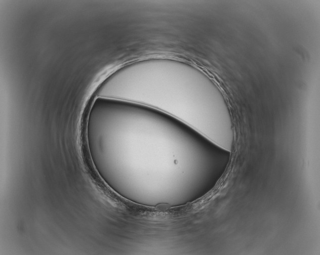 X0000112920104200908241040