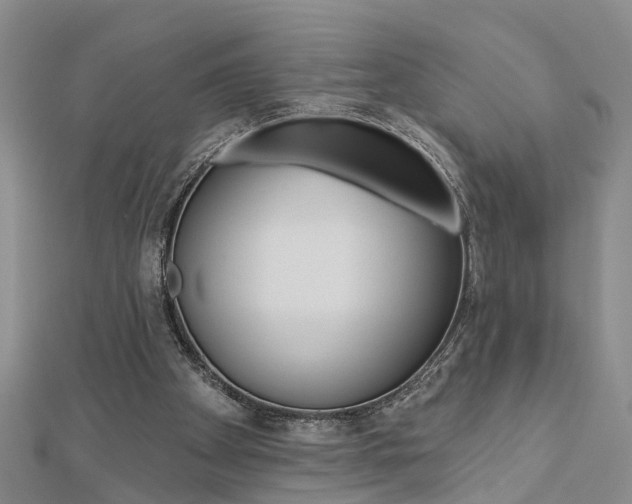 X0000112920105200908241040