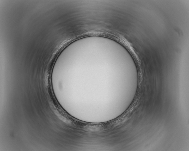 X0000112920106200908241040