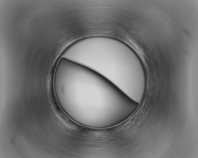 X0000112920107200908241040