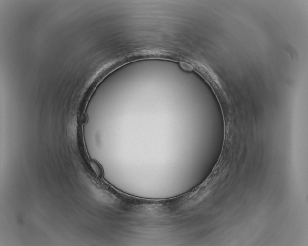 X0000112920108200908241040
