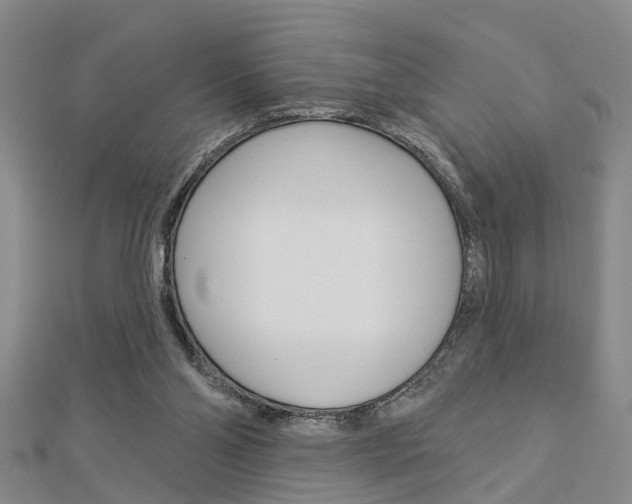 X0000112920110200908241040