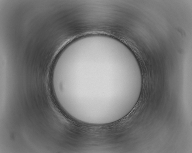 X0000112920112200908241040