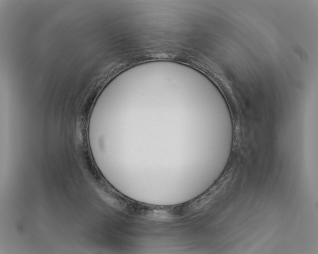 X0000112920114200908241040