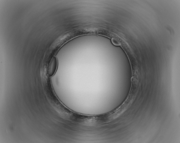 X0000112920116200908241040