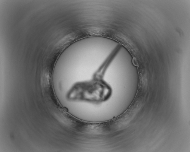 X0000112920117200908241040