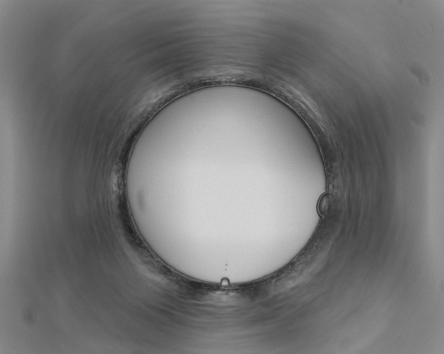 X0000112920119200908241040