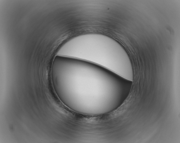 X0000112920120200908241040