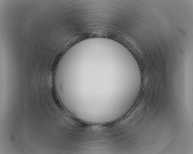 X0000112920121200908241040