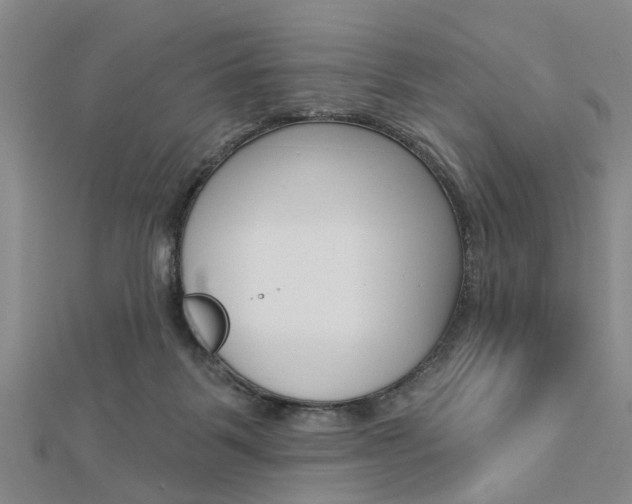 X0000112920123200908241040