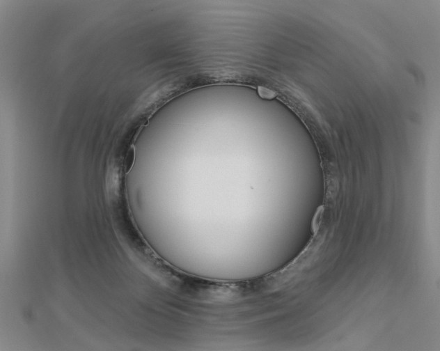 X0000112920124200908241040