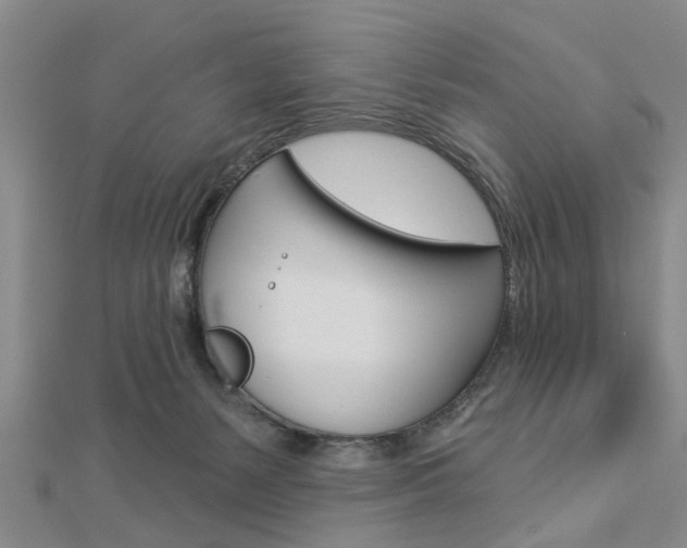 X0000112920127200908241040