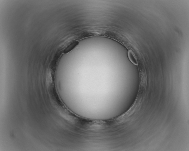 X0000112920128200908241040