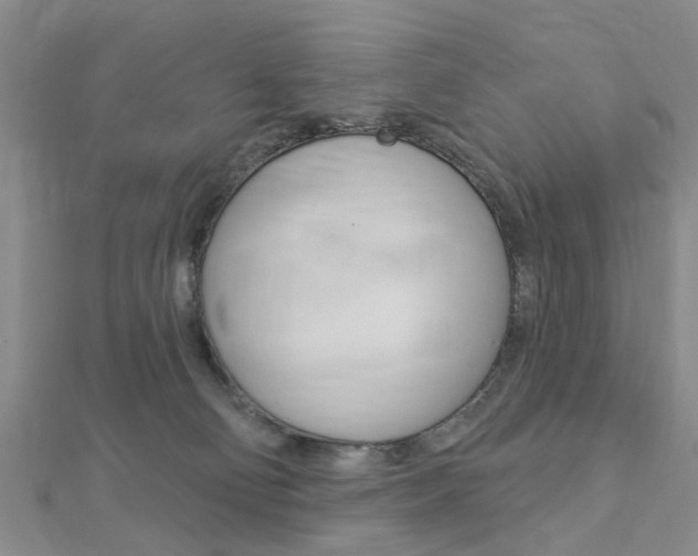 X0000112920130200908241040