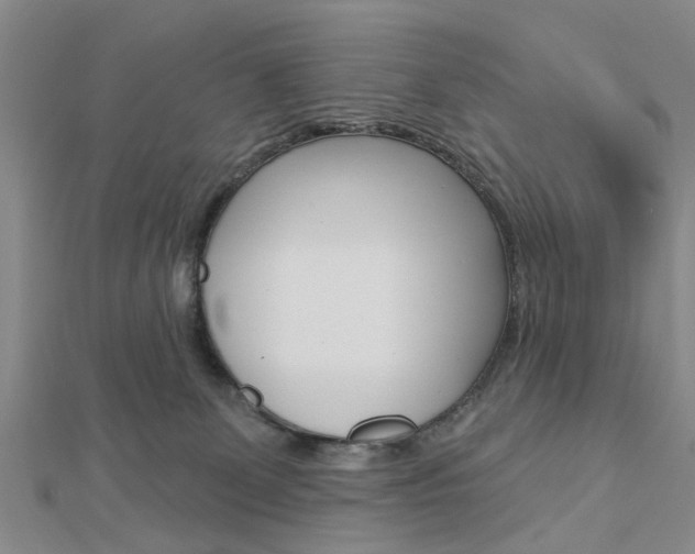 X0000112920131200908241040
