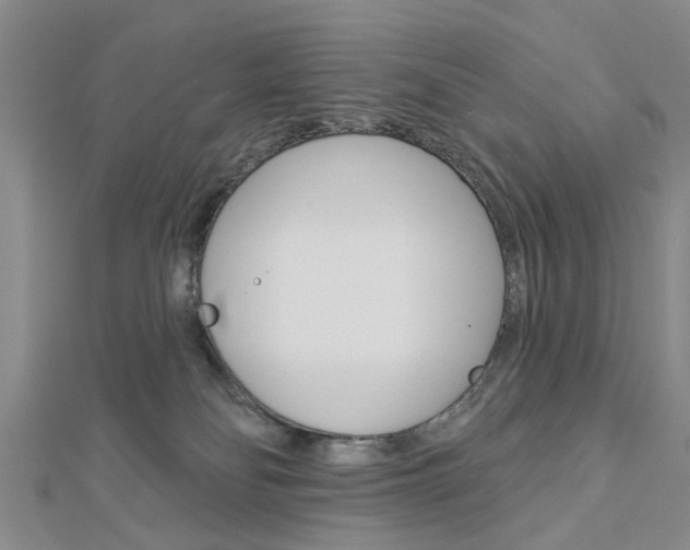 X0000112920134200908241040
