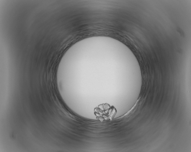 X0000112920136200908241040