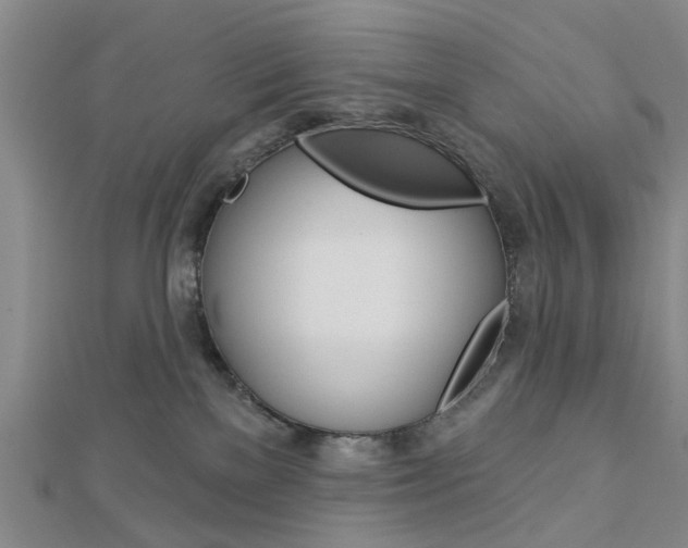 X0000112920137200908241040