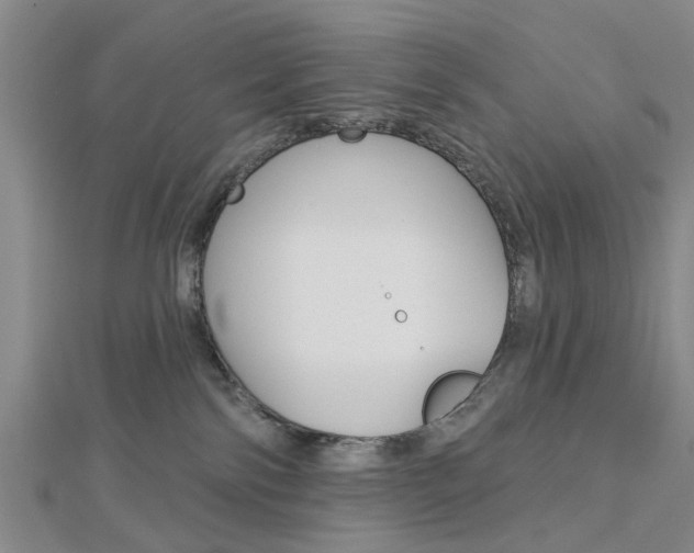 X0000112920138200908241040