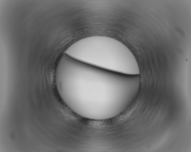 X0000112920139200908241040