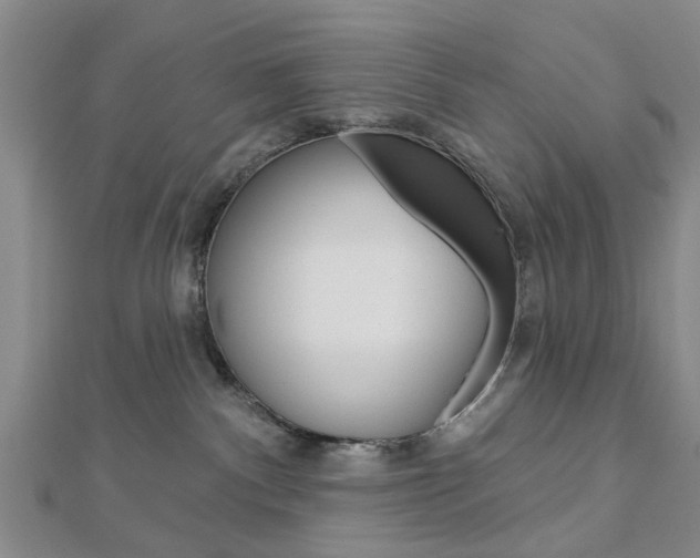X0000112920140200908241040