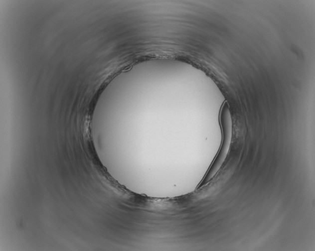 X0000112920141200908241040