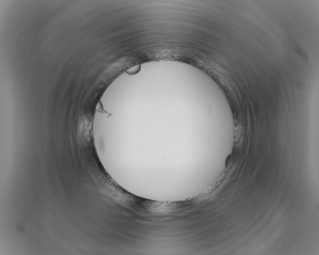 X0000112920142200908241039