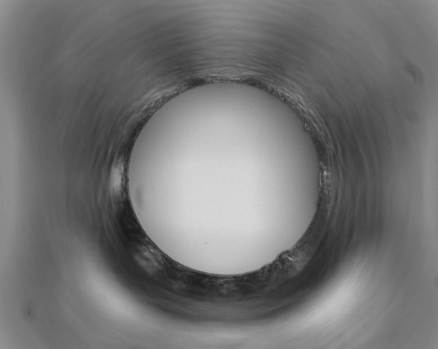 X0000112920143200908241039