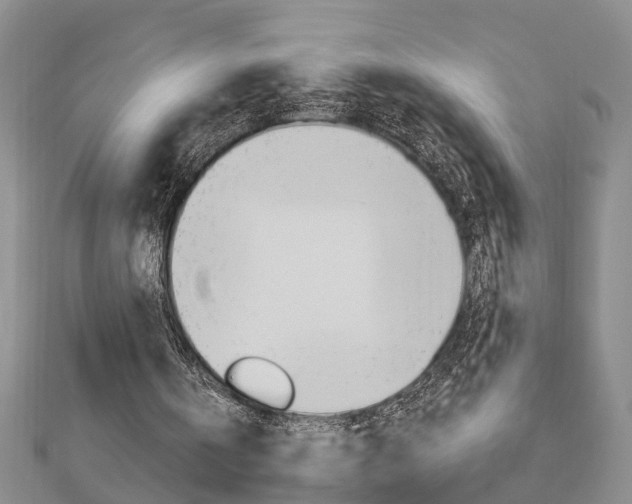 X0000112920146200908241039