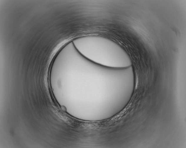 X0000112920147200908241039