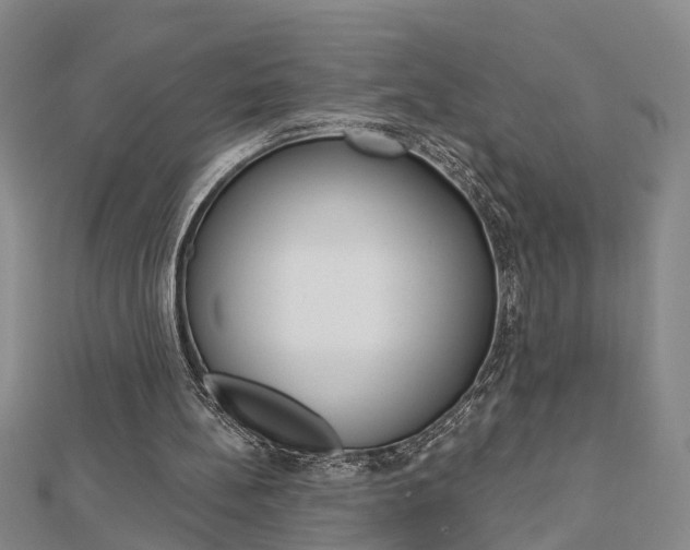 X0000112920148200908241039