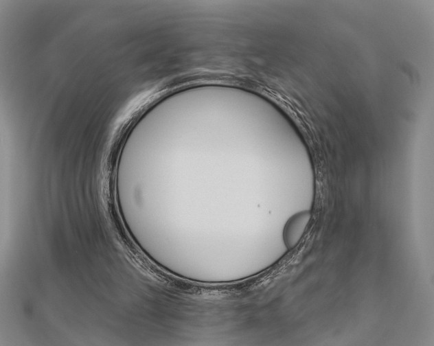X0000112920149200908241039