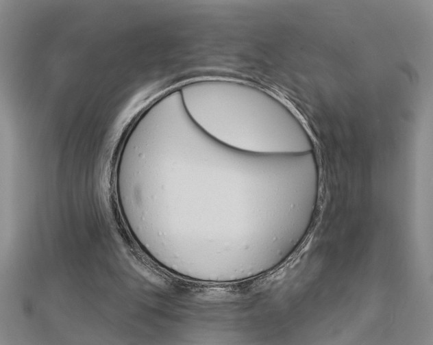 X0000112920151200908241039