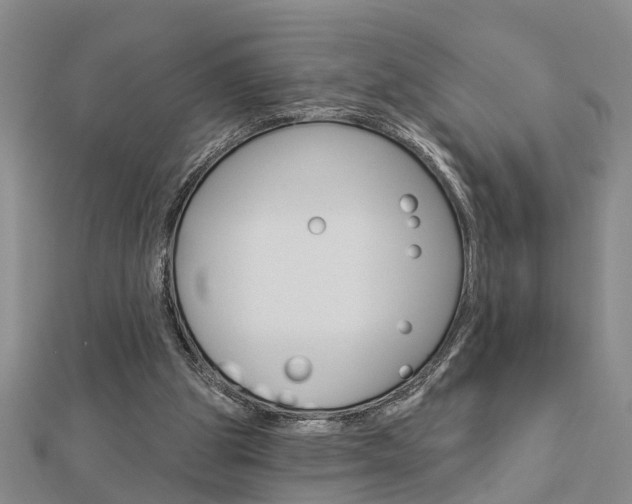 X0000112920153200908241039