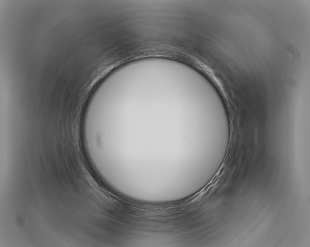 X0000112920154200908241039