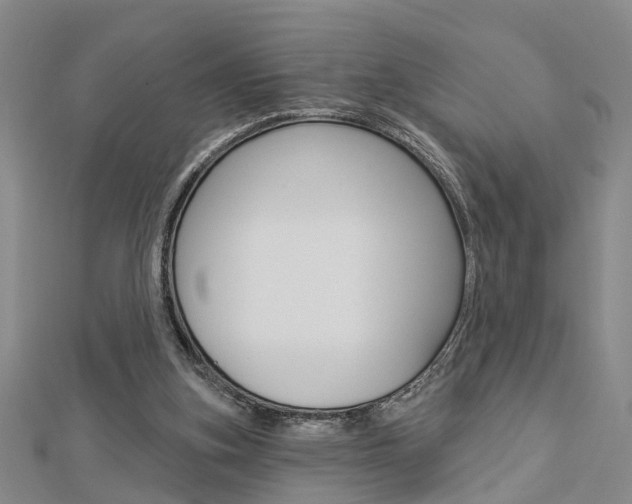X0000112920155200908241039