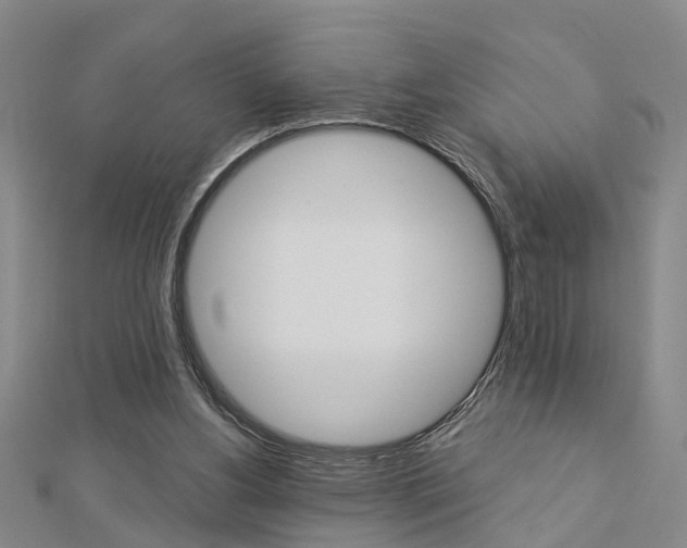 X0000112920156200908241039