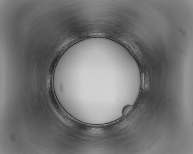 X0000112920157200908241039