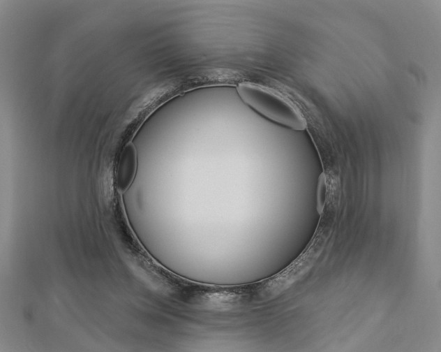 X0000112920158200908241039