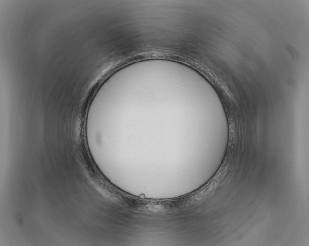 X0000112920159200908241039