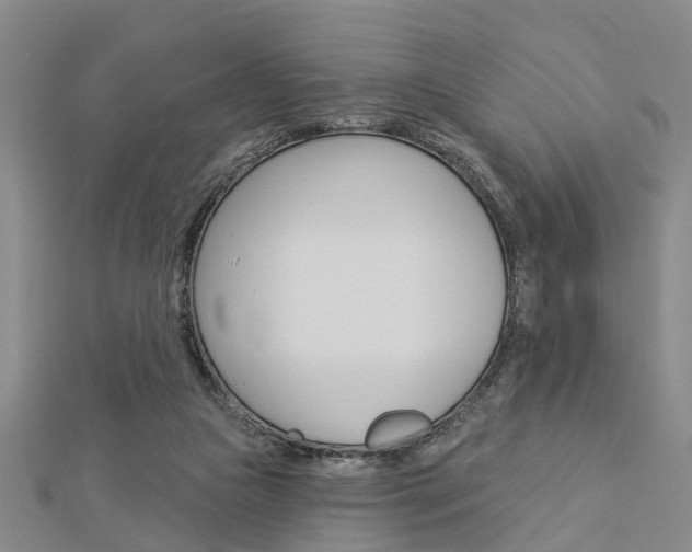 X0000112920161200908241039