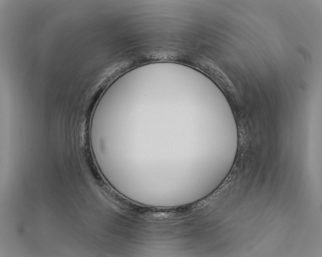X0000112920163200908241039