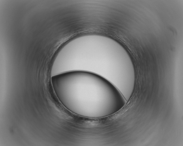 X0000112920164200908241039