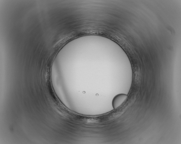X0000112920165200908241039